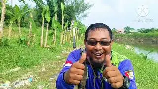 Patin babon berhasil di taklukan #pasermania nembakreaksi