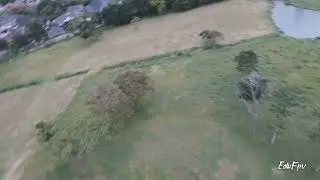 maiden flight betaflight 4.3 setup default Diatone Roma f5