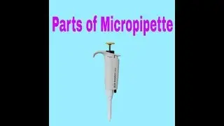 Parts of Micropipette