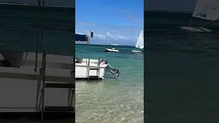 Glass Bottom Boat Ride,Mauritius #mauritius #glassbottom #travel #beach #shorts