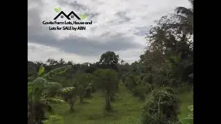 Farm Lot in Alfonso Cavite for Sale!