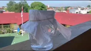 UJI EFEK RUMAH KACA UNTUK MENGAMATI  KENAIKAN SUHU DI 2 WADAH BERBEDA|Kokurikuler IPA SMA Hutama|X.6