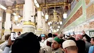 احادیث میں آتا ہے کہ اگر کوئی شخص خواب میں نبی ﷺ کو دیکھے تو وہ سچا خواب ہوتا ہے، 🌸💚