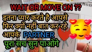 WAIT OR MOVE ON 🤔 CURRENT FEELINGS OF YOUR PARTNER| TAROT CARD READING IN HINDI| NO CONTACT