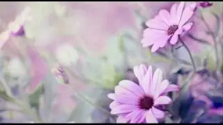 A. Vivaldi: Graz sonata for violin & b.c. in D major n. 3 (RV 11) - Part I