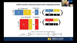 Mosaic Integration of the Single-cell Multi-omics Datasets using UINMF
