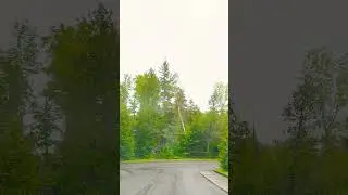 Rainy Day at Marten River
