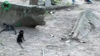 Break heart to see video, how they do very bad on baby
