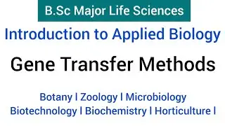 B.Sc - Major Biology | Introduction to Applied Biology | Gene Transfer Methods |