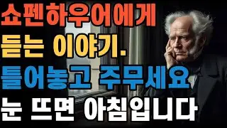 쇼펜하우어에게 듣는 인생이야기. 틀오놓고 주무세요. 눈 뜨면 아침입니다.