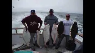 Monster Halibut, Channel Islands Sports Fishing, California Halibut