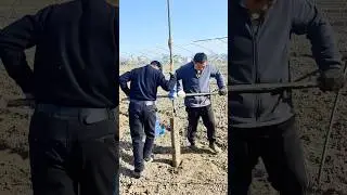 Well digging: An ancient technique using a Luoyang shovel to access underground water for irrigation