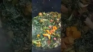 Kale Greens #food #cookingvideo #kale #dinner #recipe
