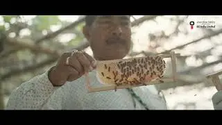 OIL CSR Success Stories: Project JEEVIKA