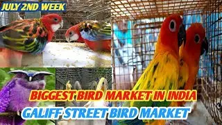 BIGGEST BIRD MARKET OF INDIA |GALIFF STREET BIRD MARKET KOLKATA| CHEAPEST MARKET | VISIT 11JULY 2021