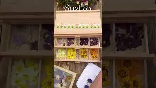Suziko  flower press use mircowave flower press to press flower