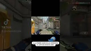 #valorant #humor #valorantgameplay #valorantlive #valorantclips