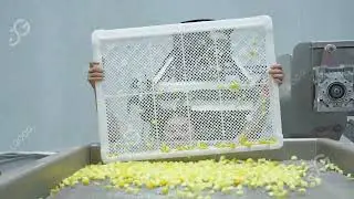 Frozen Mango Processing Line