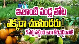 పండ్ల తోటలో పంటల వైవిధ్యం | Diversified Farming | Satyanarayana
