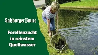 Fischzucht in dritter Generation: Forellenzucht Ebner in Helpfau-Uttendorf