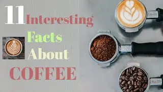 11 Facts About Coffee You Had No Idea About!