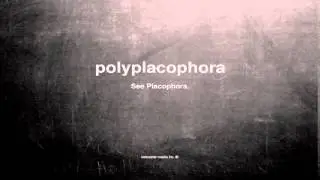 What does polyplacophora mean