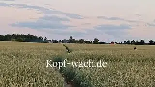 Einen Sommer lang von Detlev von Liliencron