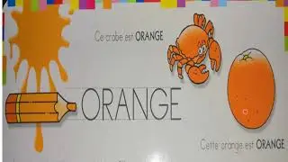 la couleur orange