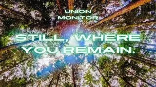 still, where you remain. | A Longform Audio Experiment (4Hz Binaural Delta Waves)