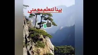 #زنا المحارم  لشيخ هشام البيلي