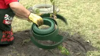 How To Install Garden Edging Around A Tree - DIY At Bunnings