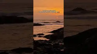 Vagator beach sunset goa #youtubeshorts #sunset #goa #vagatorbeach #love #shorts