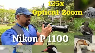 #nikonp1100 You Won't Believe the 125x Zoom POWER of the Nikon Coolpix P1100