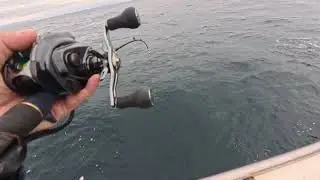 20251213 豊後水道　太刀魚釣り　美桜丸