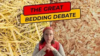 What's the BEST Bedding for Foaling Mares?