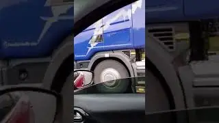 Jonis scania volos