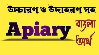 Word Meaning of Apiary । Apiary এর বাংলা অর্থ @bangladictionary