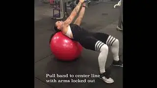 SB External Rotations