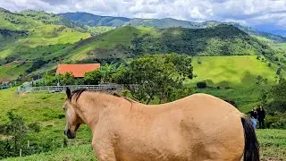 🍀🏡 CHÁCARA FORMADA - CACHOEIRINHA - CASA BOA - POMAR - CURRAL - EXCELENTE LOCALIZAÇÃO E TOPOGRAFIA 🏡