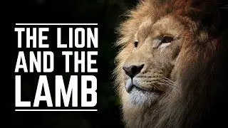 The Lion and The Lamb Karaoke Background Track