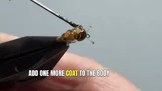 Fly Tying Tutorial - Tying a Better G Snail Fly Pattern