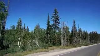 Dixie National Forest (Utah)
