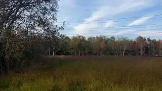 BNSF 2891's Fouled S5TRRO