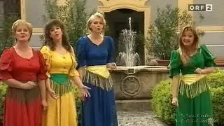 Raabtal Dirndln - Blumen blüh'n für alle - 1999 - #2/2