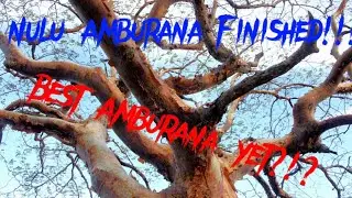 Nulu Bourbon Finished in Amburana Cask from Binny's! Thank you Dave!! #bourbonreviews #whiskeytube