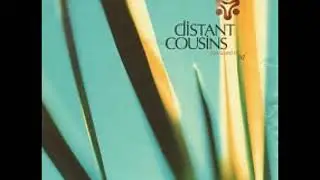 Distant Cousins - You Used To