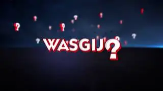 Holdson Puzzles - Wasgij - New Zealand