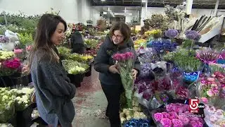 Ever wonder where New England florists get their flowers?