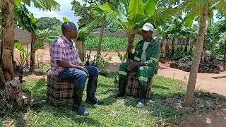 Young banana expert ventures into foliar fertiliser  production 
