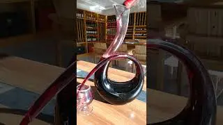 The wine companion. 🍷